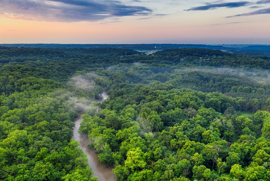 floresta amazônica vista de cima